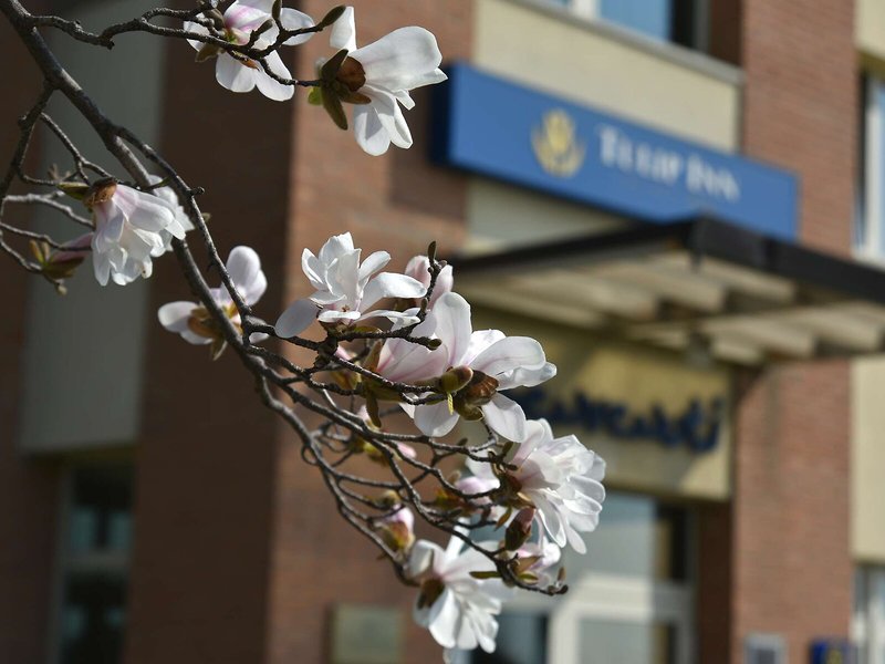 Tulip Inn Turin West Rivoli