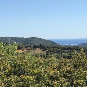 Sejur Hotel Belvedere vacanta Teulada