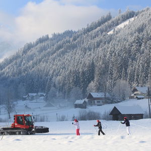 Hotel Muhlradl Apartments Gosau cazare Gosau