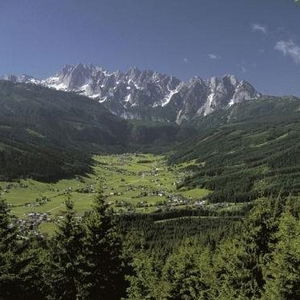 Hotel Landhaus Elfi cazare Gosau