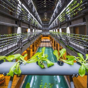 Hotel Greenhost Boutique Hotel Prawirotaman cazare Yogyakarta