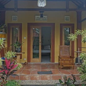 Hotel Biorock Homestay cazare Pemuteran