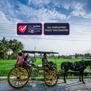 Hotel D'omah Hotel cazare Yogyakarta