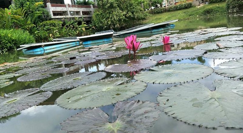 Arthaya Villas