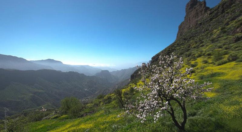 Hotel Hotel Emblematico Arucas