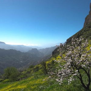 Hotel Hotel Emblematico Arucas cazare Arucas