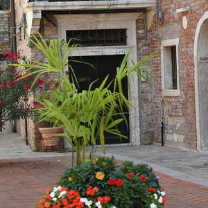 Hotel B&B Amor Mio cazare Campeche