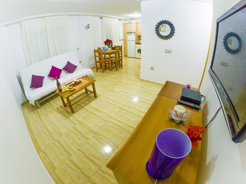 Homely Apartments Blasco Ibanez
