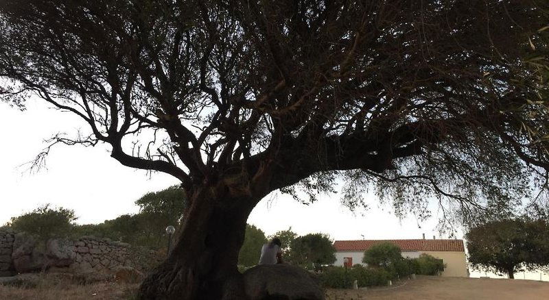 Hotel La Striscia Larga