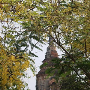 Hotel Icon Park Hotel Chiang Mai cazare Chiang Mai