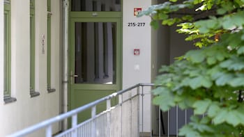The Hive Party Hostel