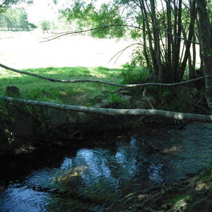 Hotel Quinta Da Alma Cheia cazare Castelo Branco
