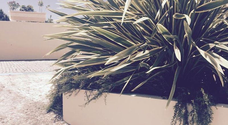 Hotel Hotel Aeroporto