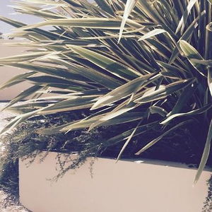 Hotel Hotel Aeroporto cazare Moreira