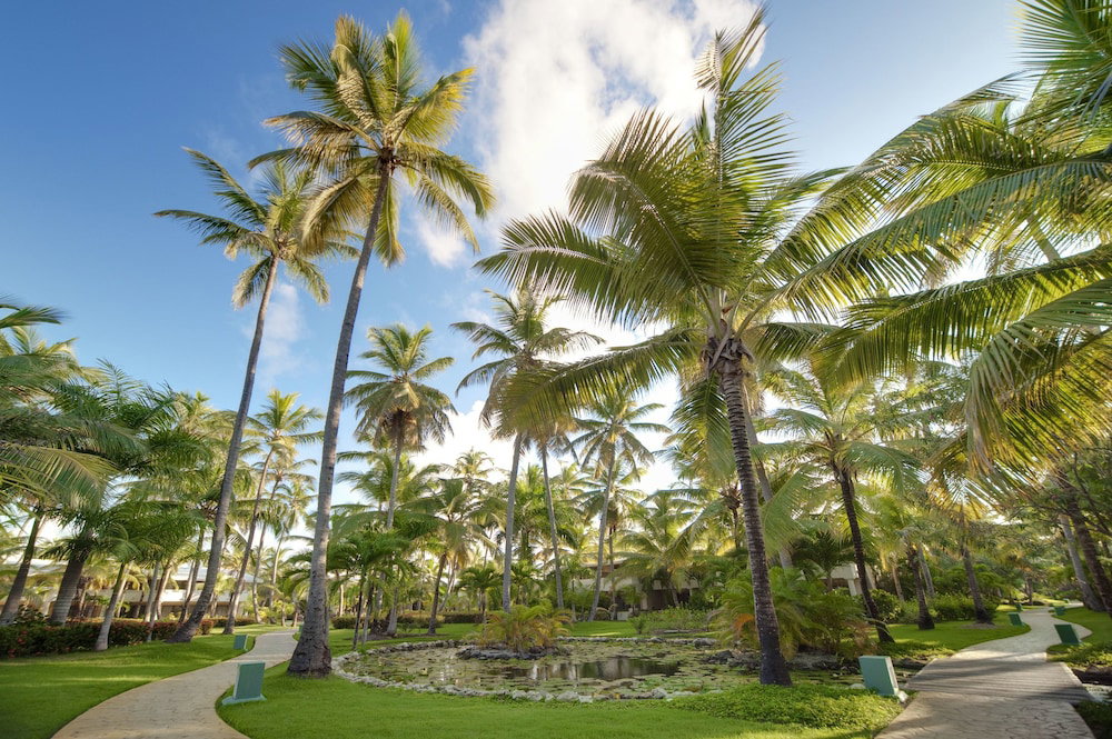 Meliá Punta Cana Beach Wellness Inclusive - Adults Only