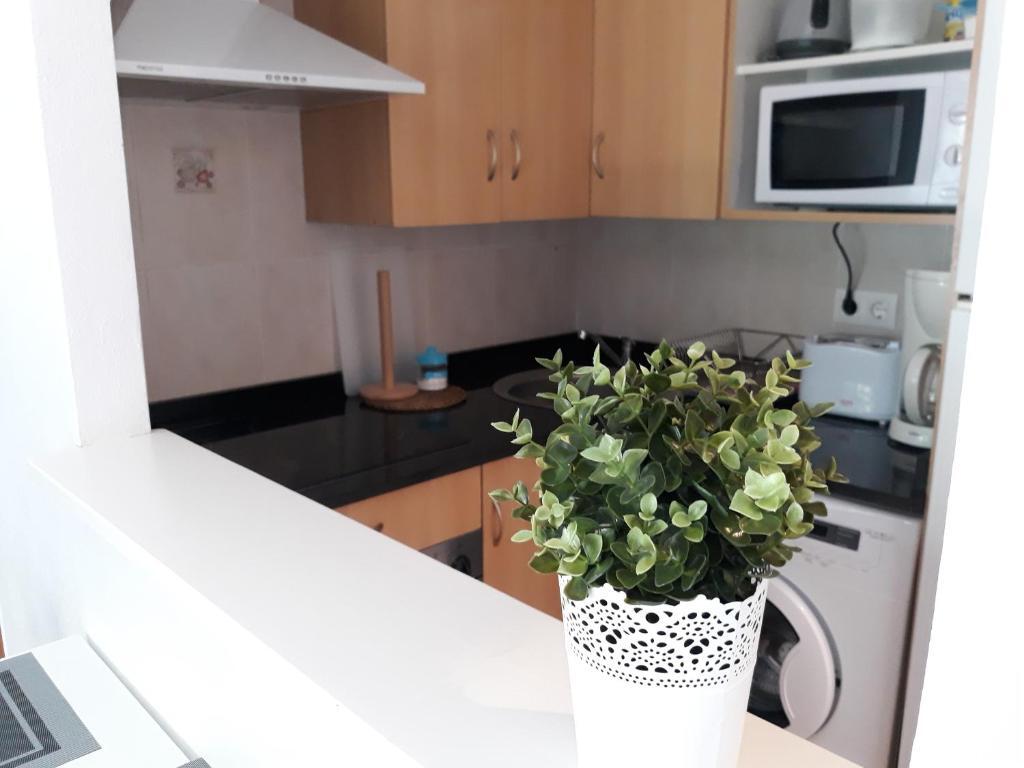 dal travel Royal Apartament-200M From Beach- Wifi