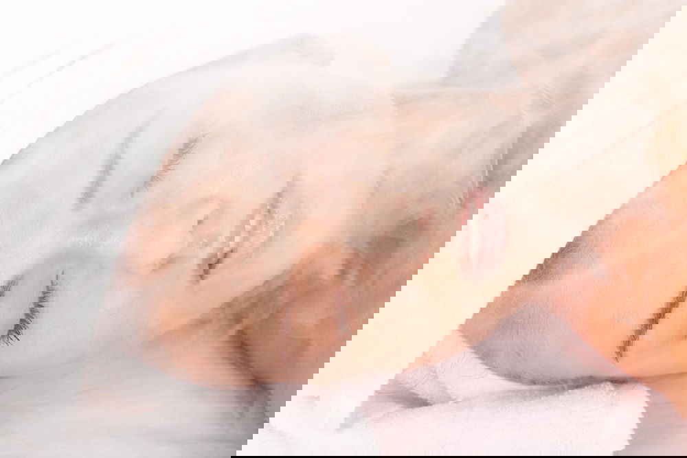 Hotel Bluebay Villas Doradas