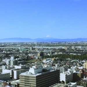 Hotel Royal Pines Hotel Urawa cazare Saitama