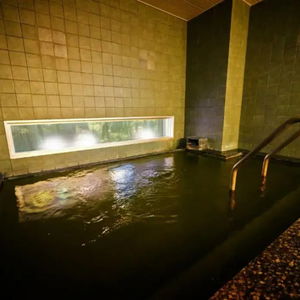 Hotel Super Hotel Saitama Omiyaeki Nishiguchi cazare Saitama