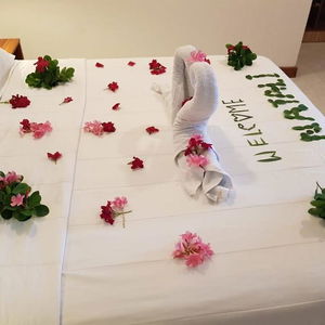 Sejur Batuta Maldives Surf View Guesthouse vacanta Thulusdhoo