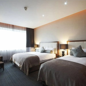 Hotel Rochestown Park Hotel cazare Douglas