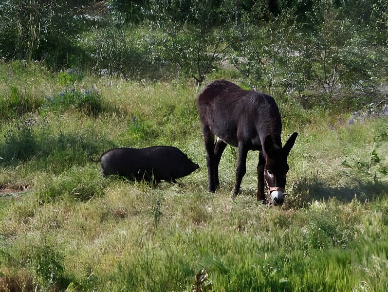 Hotel Monte Gois Country House E Spa