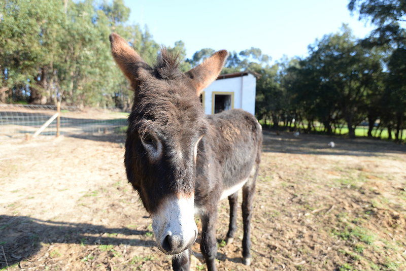 Hotel Quinta Da Samoqueirinha