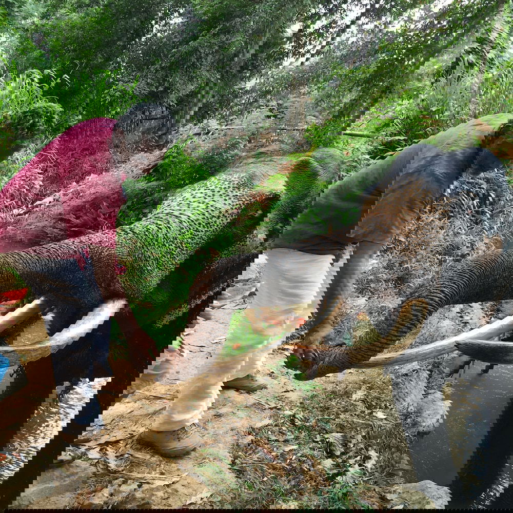 Hotel Hotel Mango Garden