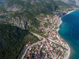 dal travel Odysseus Palace