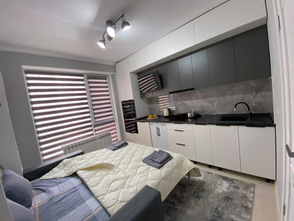 Hotel Studiya V Teremkakh Ot Best House Almaty Apartments