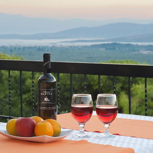 Hotel Chrissa Camping Rooms And Bungalows cazare Delphi