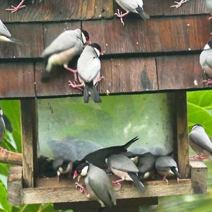 Hotel Hale Maluhia Country Inn cazare Kailua-Kona