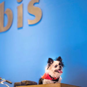 Hotel Ibis Pune Hinjewadi Hotel cazare Pune