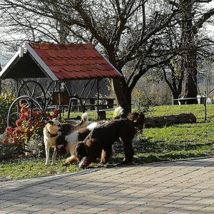 Hotel Panorama B&B cazare Ptuj