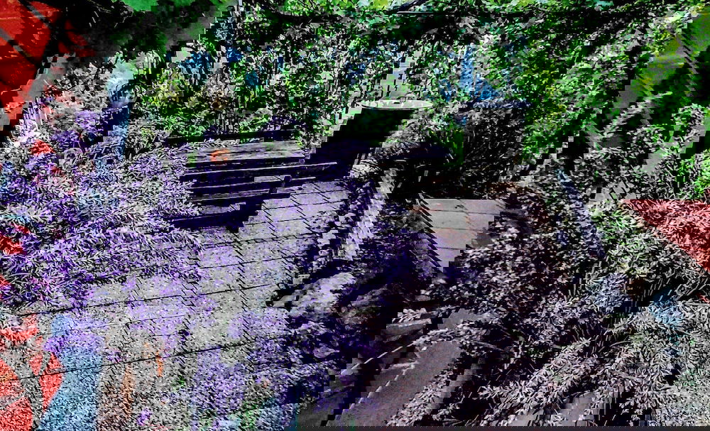 Hotel Vineyard Cottage Verček