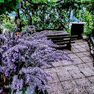 Hotel Vineyard Cottage Verček cazare Novo Mesto