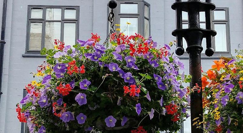 Hotel George Oxford Hotel