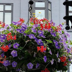 Hotel George Oxford Hotel cazare Oxford