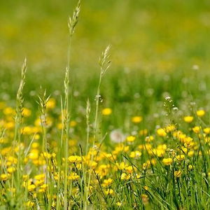 Hotel Kasperhof cazare Innsbruck