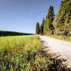 Hotel Agriturismo Bio San Mamiliano cazare Grosseto