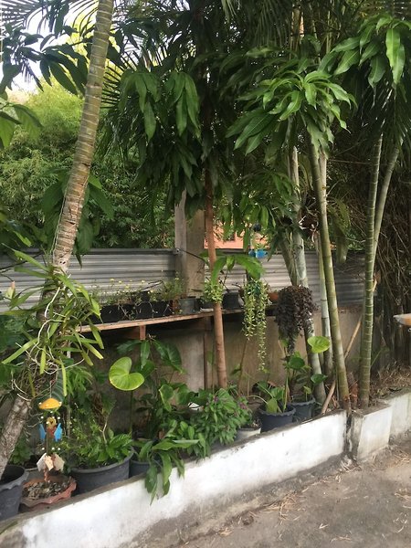 Nan Inn Bungalow