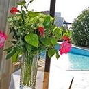 Sejur Platzia Beach Villas vacanta Kissonerga