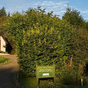 Hotel Lann Dearg Studios cazare Scotia