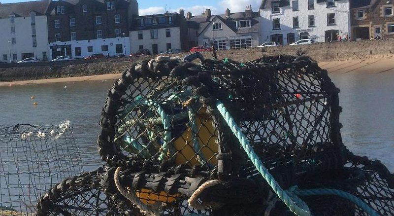 Hotel Arduthie House