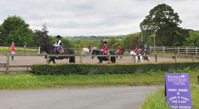 Hotel Wellsfield Farm