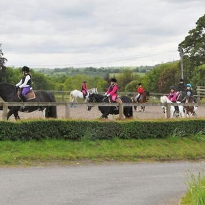 Hotel Wellsfield Farm cazare Denny