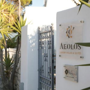 Hotel Aeolos Villas Sustainable Living cazare Naxos
