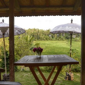 Hotel Bali Lush cazare Tabanan