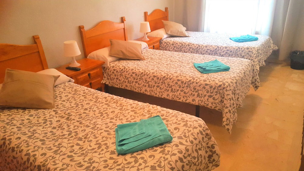 Hotel Hostal El Peine