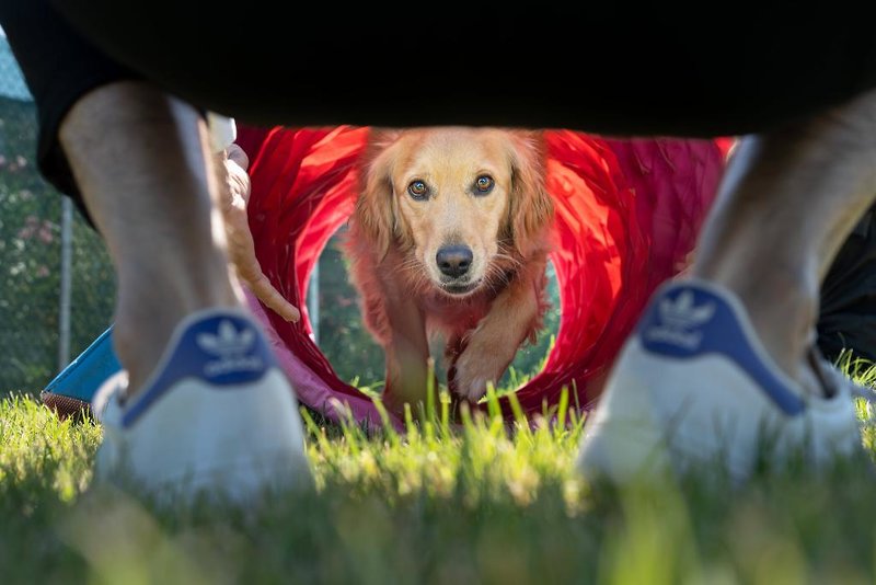 Hotel Romagna Family Resort